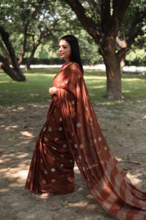 Brown Soft Silk Saree With Silver Motif