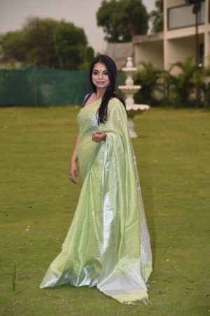 Pastel Green Tissue Silk Saree